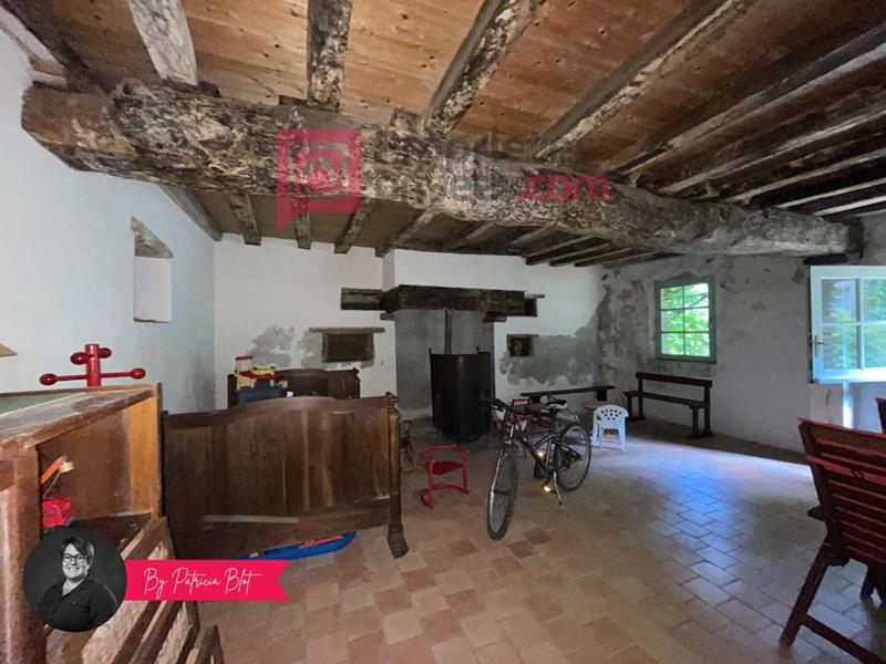 Maison - 250 m² - 4 pièces