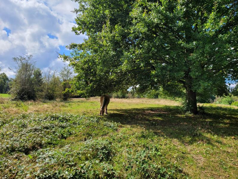 Maison - 113 m² - 5 pièces