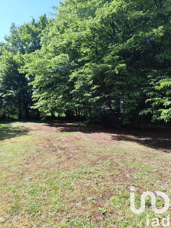 Appartement - 80 m² - 5 pièces