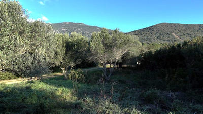 Terrain - 1 500 m²
