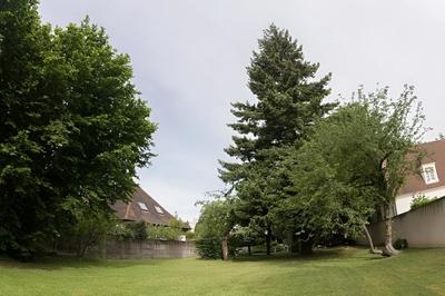 Terrain - 1 591 m²