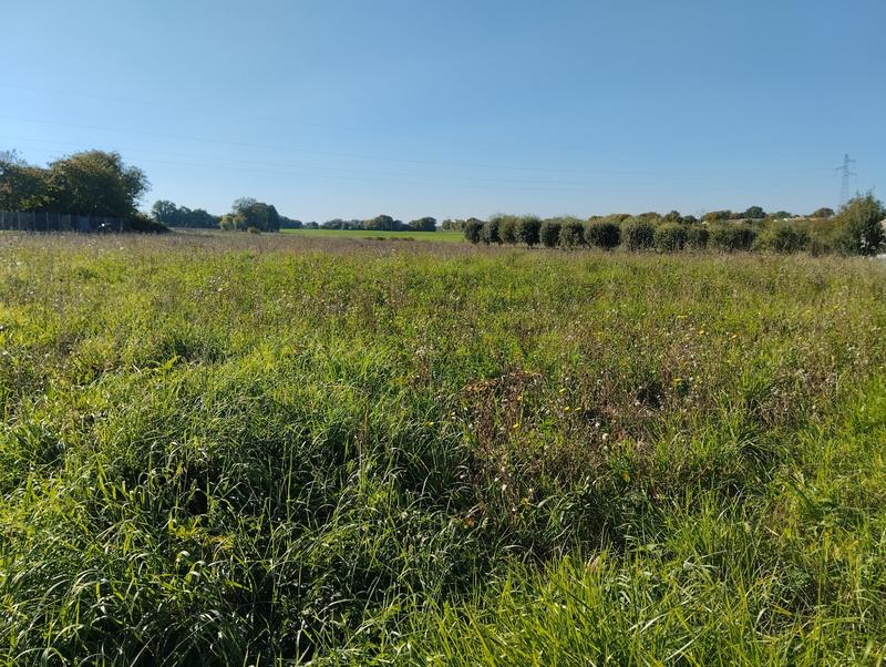 Terrain - 864 m²