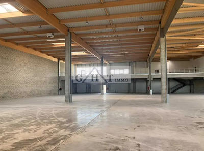 Entrepôt - 3 537 m²