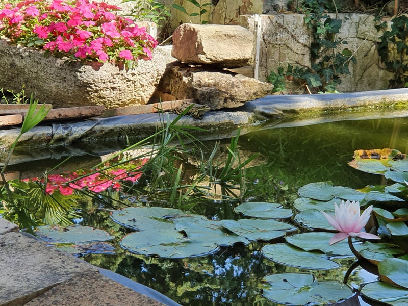 Propriété - 680 m² - 17 pièces