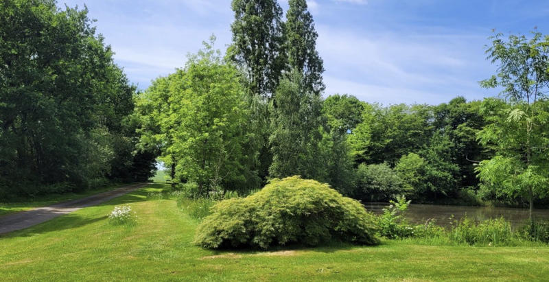 Propriété - 535 m² - 28 pièces