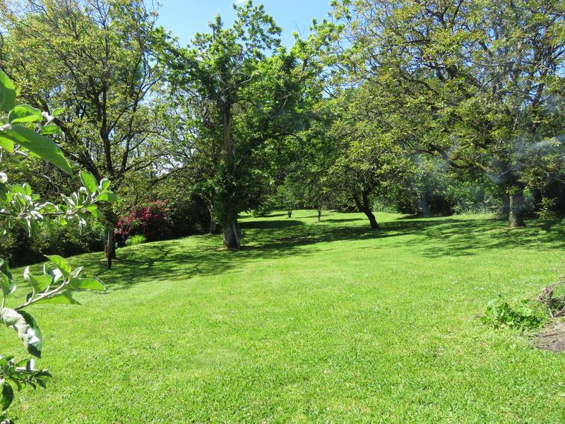 Maison - 250 m² - 6 pièces