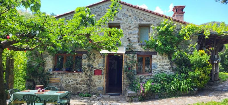 Maison - 300 m² - 12 pièces