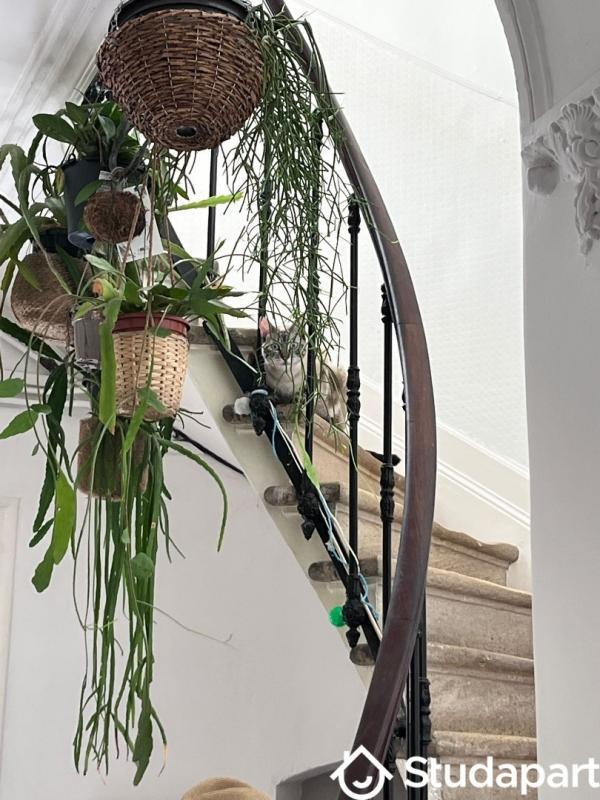 Chambre - 14 m² - 1 pièce