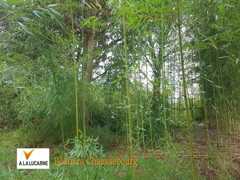 Terrain de loisirs - 1 010 m²