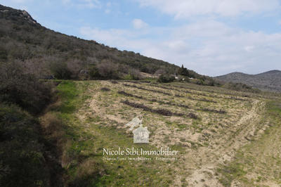 Terrain agricole - 11 155 m²