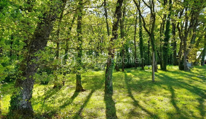 Maison d'architecte - 230 m² - 8 pièces