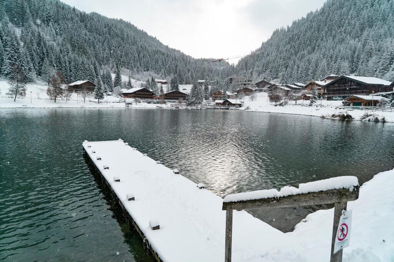 Châlet - 210 m² - 8 pièces