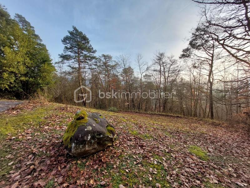 Maison d'architecte - 262 m² - 8 pièces