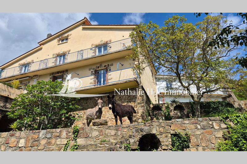 Propriété - 390 m² - 6 pièces