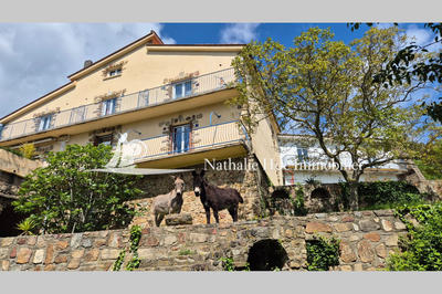 Propriété - 390 m² - 6 pièces