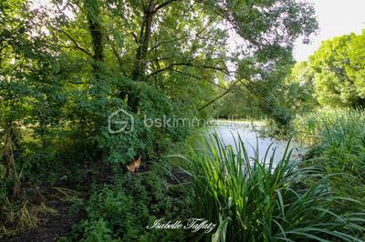 Propriété - 186 m² - 9 pièces