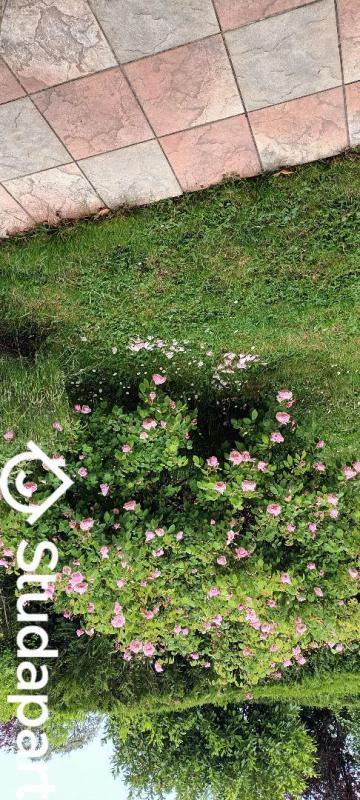 Chambre - 9 m² - 1 pièce