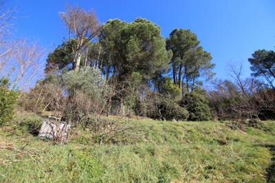 Terrain constructible - 2 100 m²