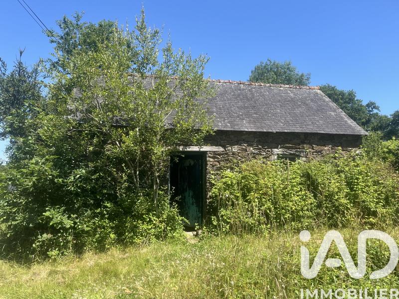 Maison de campagne - 65 m² - 2 pièces