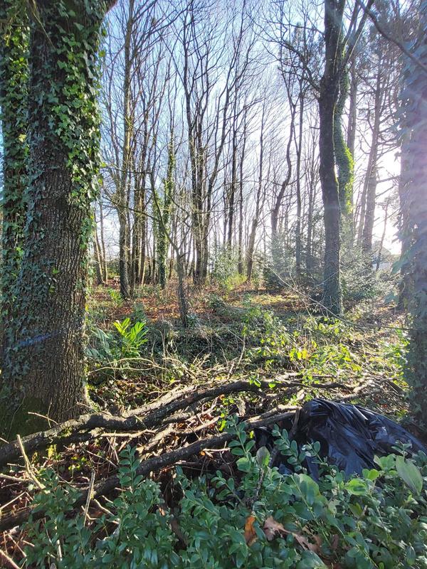 Maison - 81 m² - 5 pièces