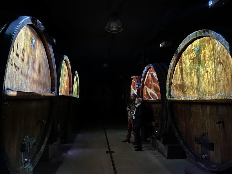Visite guidée immersive et dégustation 5 vins Zeyssolff