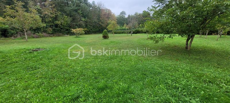 Maison - 230 m² - 8 pièces