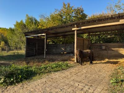 Maison - 273 m² - 7 pièces