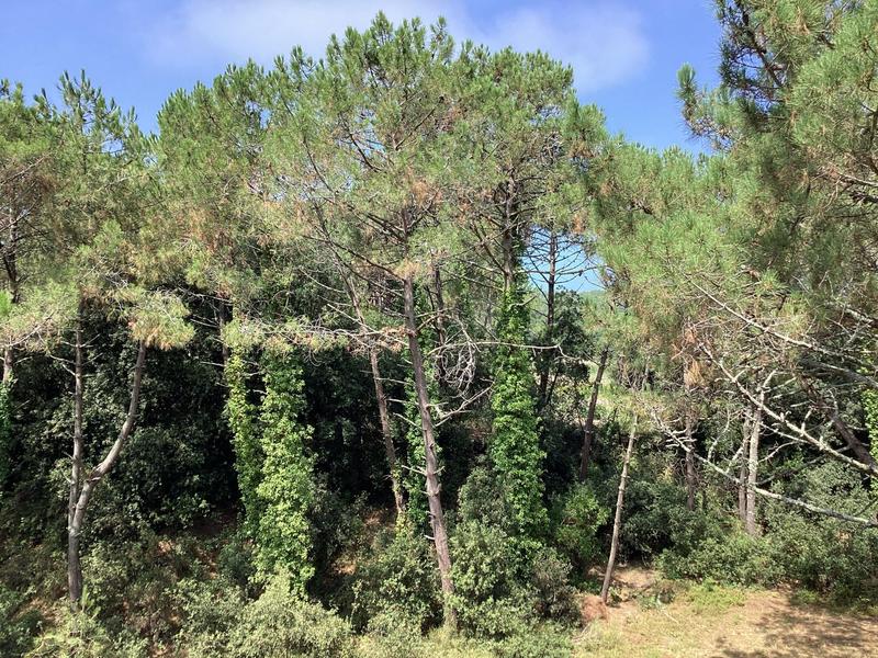 Appartement - 75 m² - 4 pièces