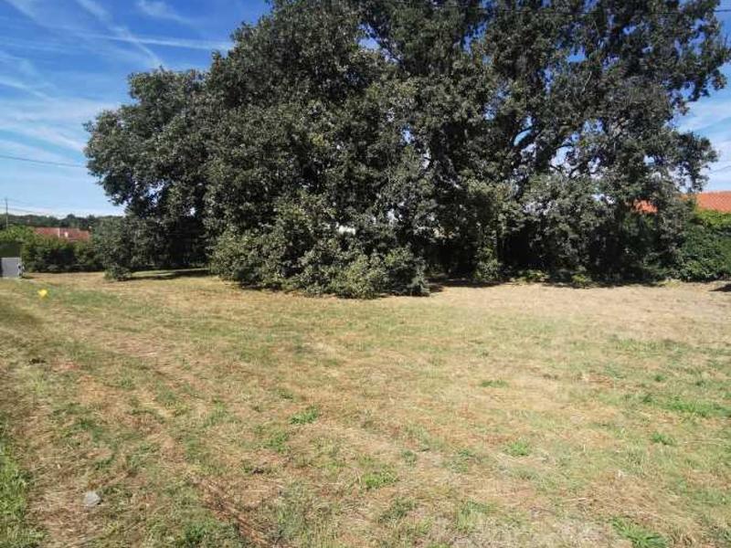 Terrain constructible - 530 m²