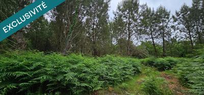 Terrain agricole - 5 640 m²