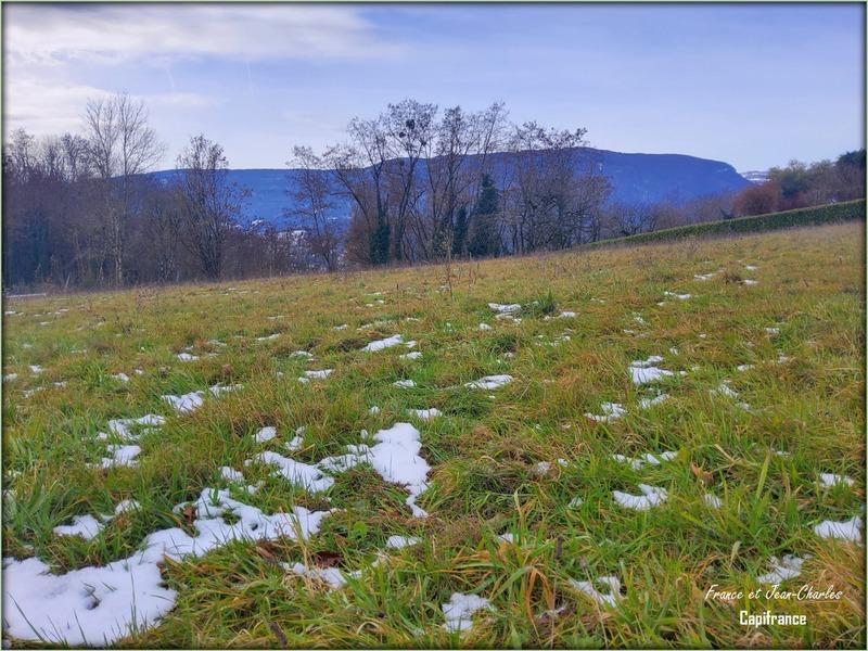 Terrain constructible - 3 048 m²