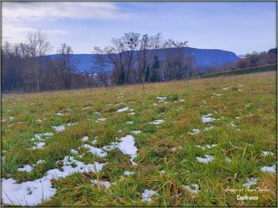 Terrain constructible - 3 048 m²