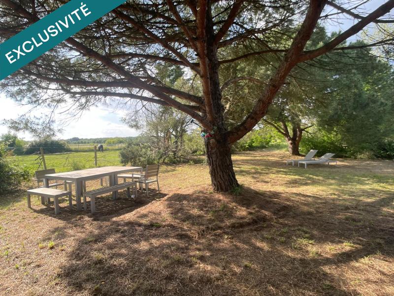 Maison de maîtres - 354 m² - 12 pièces