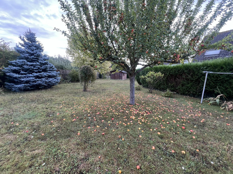 Maison - 113 m² - 3 pièces