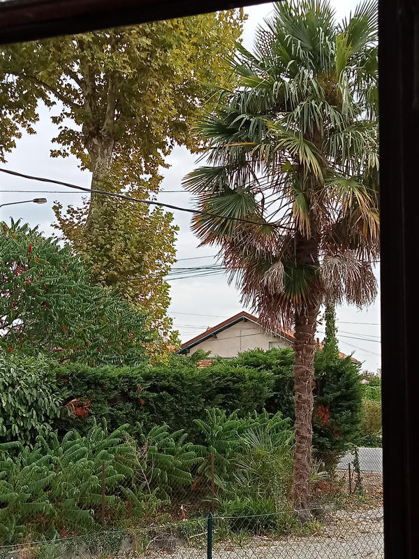 Maison - 100 m² - 3 pièces