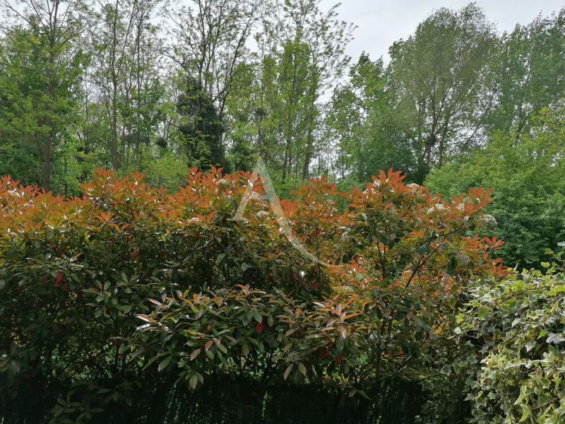 Appartement - 58 m² - 4 pièces