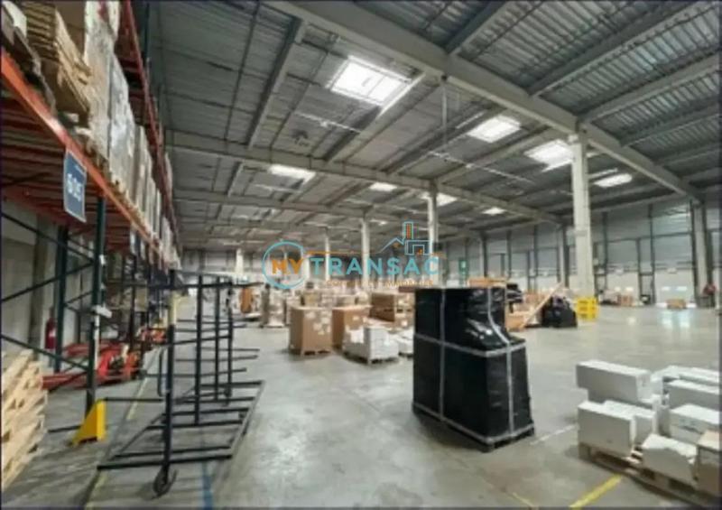 Entrepôt - 9 229 m²
