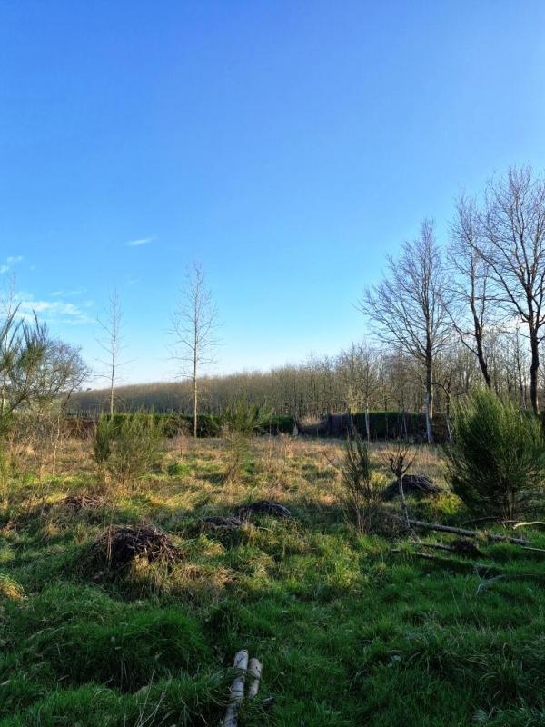 Maison de campagne - 61 m² - 4 pièces