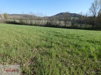 Terrain constructible - 6 500 m²