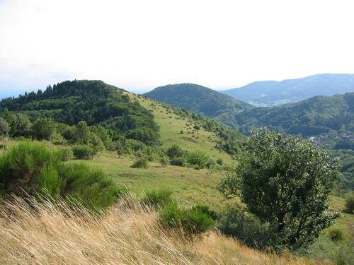Atelier : l'âge de glace dans nos vallées