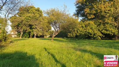 Terrain constructible - 1 450 m²