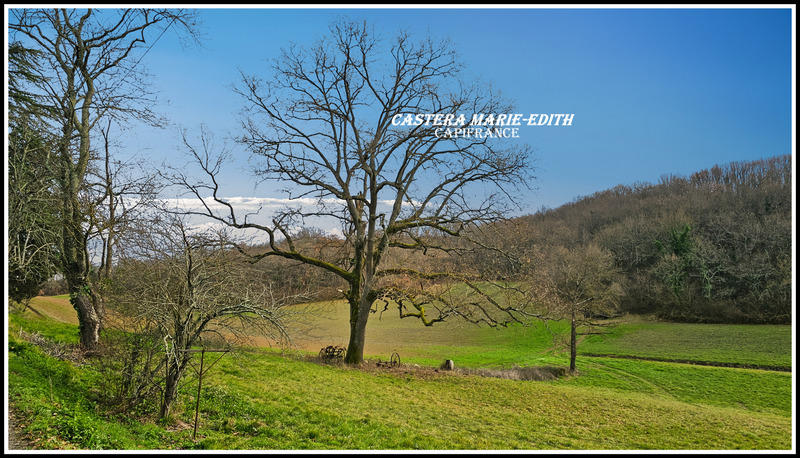 Maison - 194 m² - 7 pièces