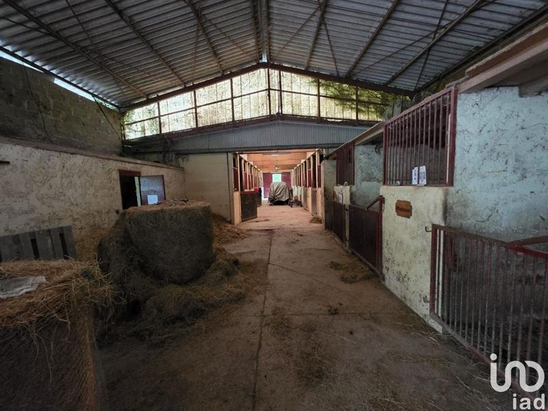 Local commercial - 165 000 m²