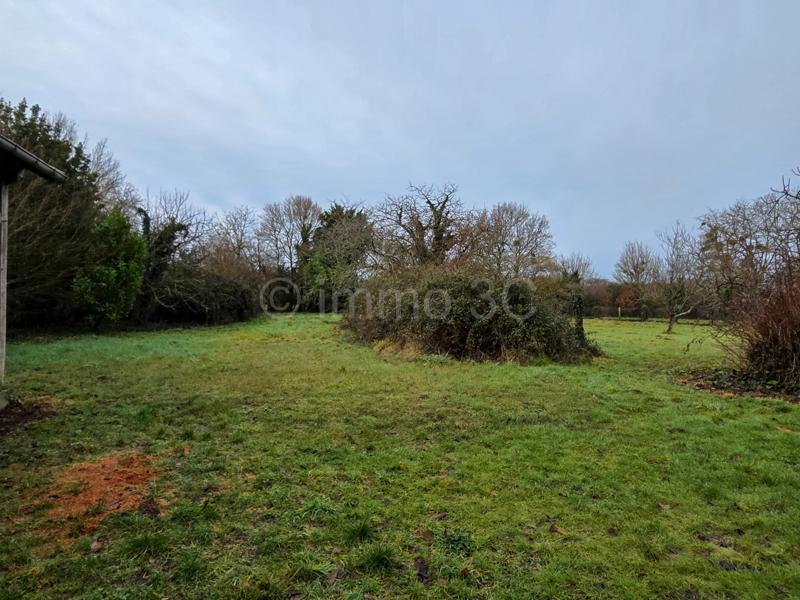 Maison en pierre - 100 m² - 5 pièces