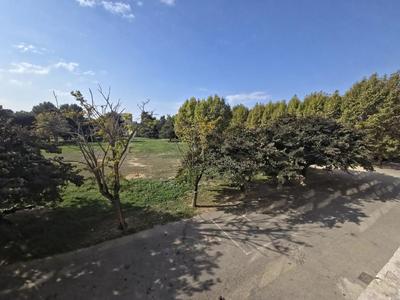 Appartement - 71 m² - 4 pièces