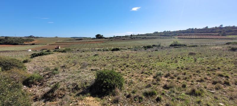 Terrain agricole - 4 870 m²