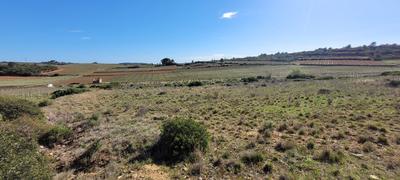 Terrain agricole - 4 870 m²