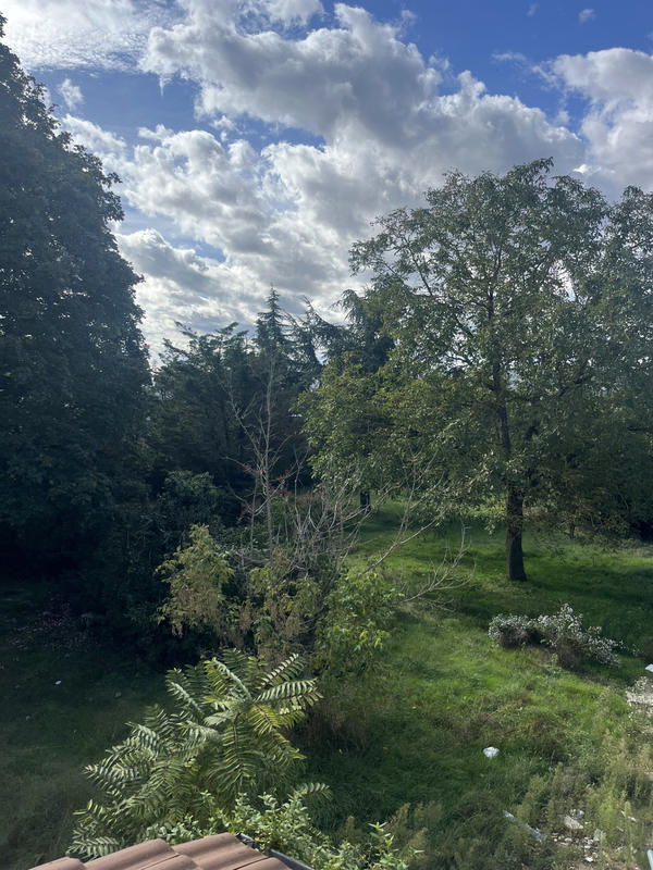 Appartement - 15 m² - 1 pièce