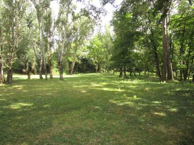 Maison - 250 m² - 8 pièces