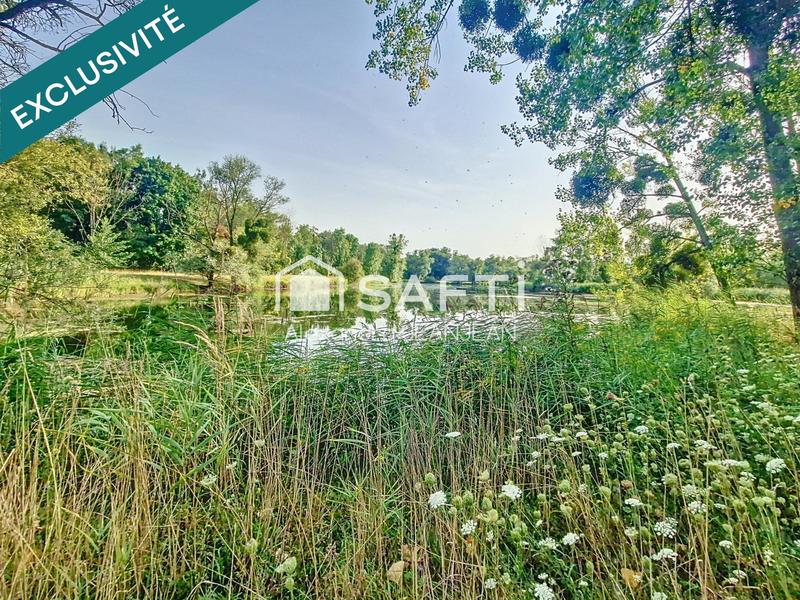 Terrain - 51 433 m²